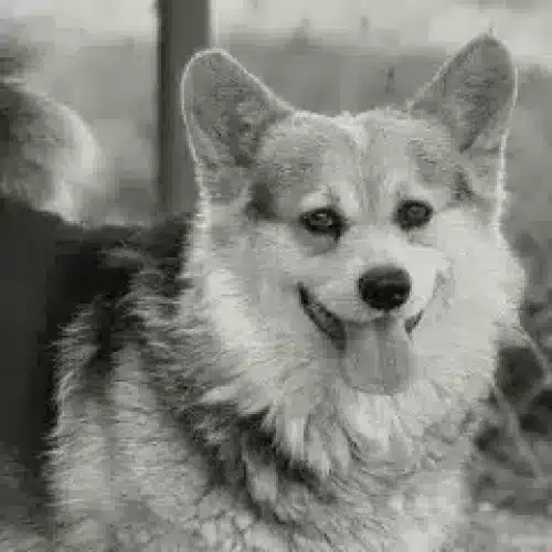 Unser Team - konsolen Werkstatt Graz